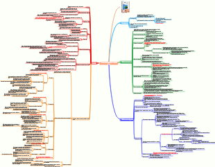 Amar ao extremo é deixar ir Notas de leitura