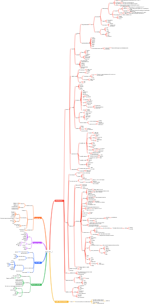 As leis objetivas do amor