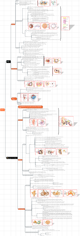 8. Anatomia do Sistema Sensilar