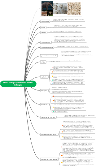 Mapa mental de osso de dragão da medicina chinesa