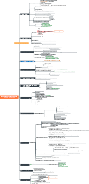Processo de design automatizado não padronizado 0916