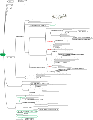 Fisiopatologia-Choque