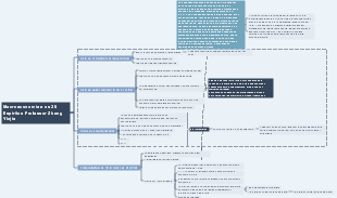 Macroeconomia e os 20 Espíritos Professor Zhang Yinjie