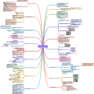 Mapa mental de notas de leitura Let Love Come Home