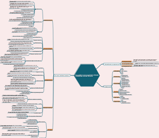Interpretação da estrutura organizacional e funções profissionais das empresas de Internet