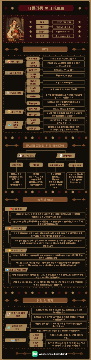 유명한 정치가 나폴레옹