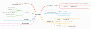 bacterias