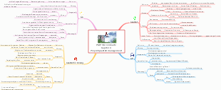 PMP Knowledge Map Kapitel 8 Projektqualitätsmanagement