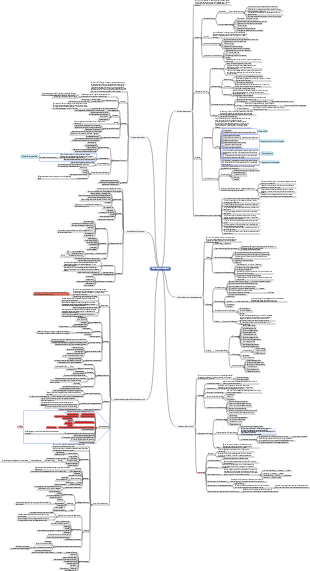 PMP-Hinweise Projektintegrationsmanagement