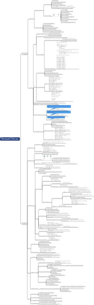 CCNA überprüft die Gehirnkarte