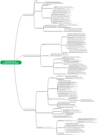 Kostenmanagement Ziele, Verantwortlichkeiten und Standards