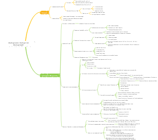 CPA „Strategie“ – Strategie und strategisches Management