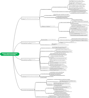 Organisationsmanagement-Mindmap multinationaler Unternehmen