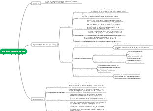 B2C-E-Commerce-Modell