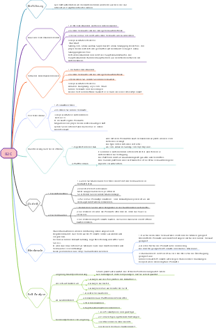 B2C-Mindmap