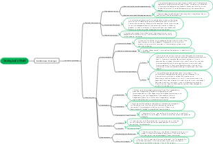 3. Strategische Wahl (funktionale Strategie)