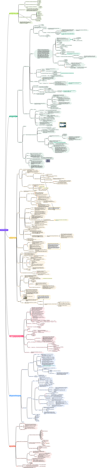 Anatomie Teil 2 Viszerologie