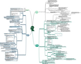 Mind Map der drei Pflichtkurse zur Zelltechnik für Bioselektivität