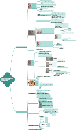 Überblick über die Anatomie und Physiologie des weiblichen Fortpflanzungssystems (2)