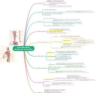 Innere Medizin Verdauungssystem-Speiseröhrenkrebs