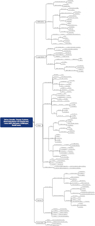 Zellen, Gewebe, Organe, Systeme, Kreislaufsysteme von Organismen, Immunität (Antigene, Antikörper, Reaktionen)