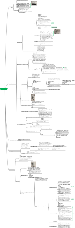 Biologie-RNA-Transkription