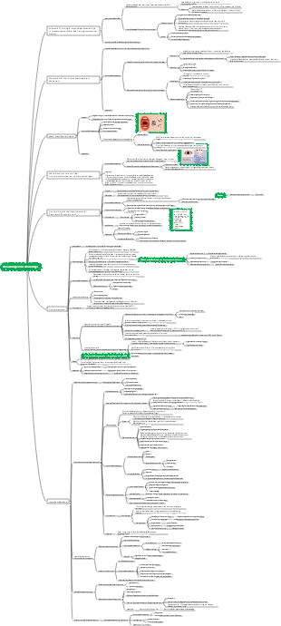 Medizinische Pädiatrie – Atemwegserkrankungen