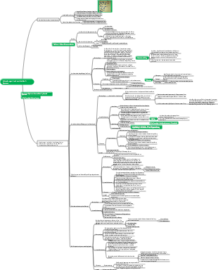 Medizin - Erkrankungen des Herz-Kreislauf-Systems