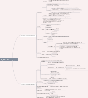 Anatomie – Kapitel 8 Mindmap des Fortpflanzungssystems