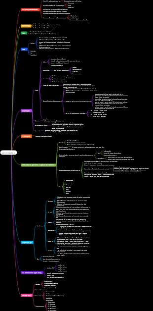 PPT-Design-Mindmap