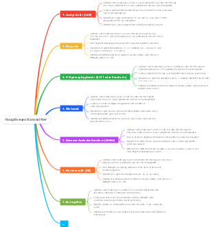 Detaillierte Eigenschaften und Wirkmechanismen der wichtigsten Neurotransmitter