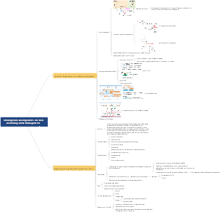 Pathophysiologie – Störungen des Gerinnungs- und Antikoagulationsgleichgewichts