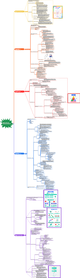 Organisation und Mitarbeitereffektivität