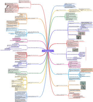 „Let Love Come Home“-Lesenotizen-Mindmap