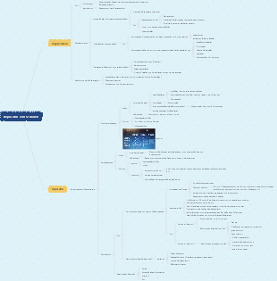 Pathologie – Reparatur von Schäden