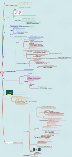 Pathologie - Tumor