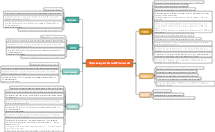 Geschäftsmodell-Mindmap