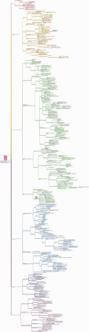 Effiziente Lernmethode Verwenden Sie Mindmaps und Wissenskarten, um den persönlichen Aufbau zu beschleunigen