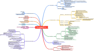 Wie man effektiv lernt (von Scott Young) Essence
