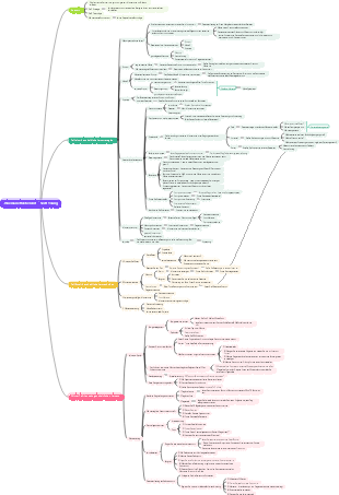 „Wie man effektiv lernt“ Scott Young