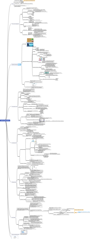 Kapitel 5 Projektumfangsmanagement-Mindmap