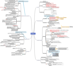 Mindmap für das Scope-Management