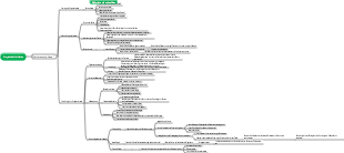 Erstsemester-Klasse – Projektaktivitätskarte „Das Geheimnis der Zähne“.