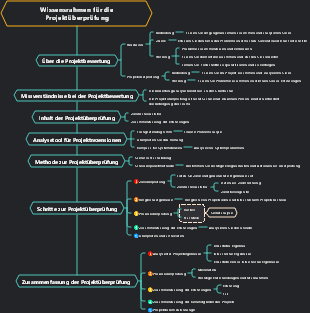Wissensrahmen für die Projektüberprüfung