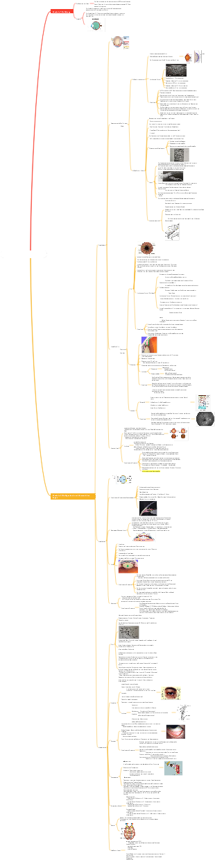 Grundlagen der AugenheilkundeBASICSOFOPHTHALMOLOGIE