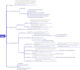 Mindmap für medizinisches Fieber