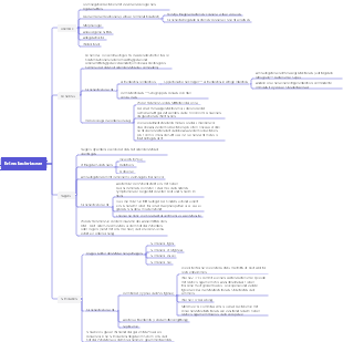 Enterobacteriaceae-Mindmap