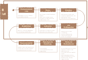 Physiologie-Blut-Mindmap