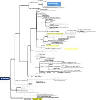 Histom Blut und Lymphe