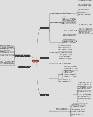 Orale Anatomie und Physiologie – Aussehen der Milchzähne